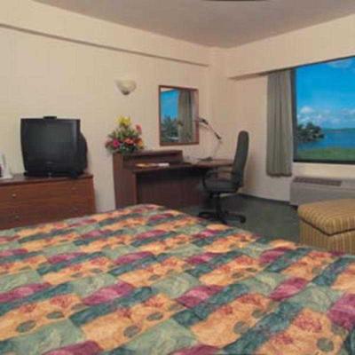 فیستا این تامپیکو