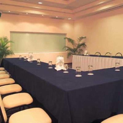 فیستا این تامپیکو