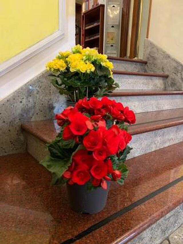 استرمبلی