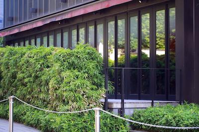 منتری هانزمن