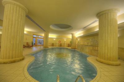 گولدن تولیپ ویوالدی