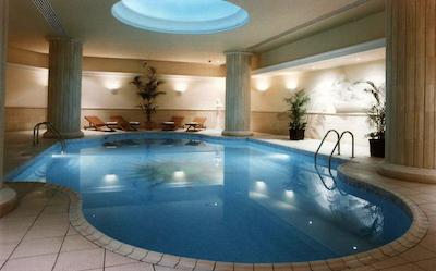 گولدن تولیپ ویوالدی