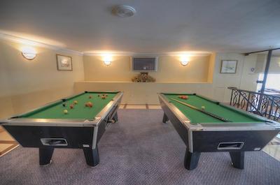 گولدن تولیپ ویوالدی