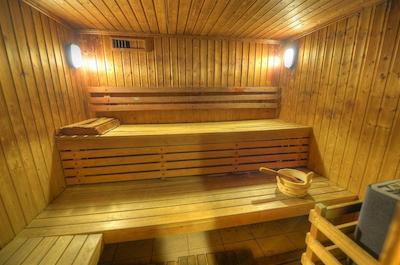 گولدن تولیپ ویوالدی