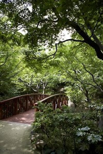 د وستین اُساکا