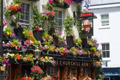 ریال گاردن هتل