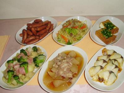 هتل اسکی کورت ناریتا