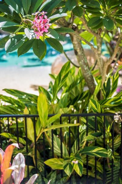 ملالوکا ریزرت