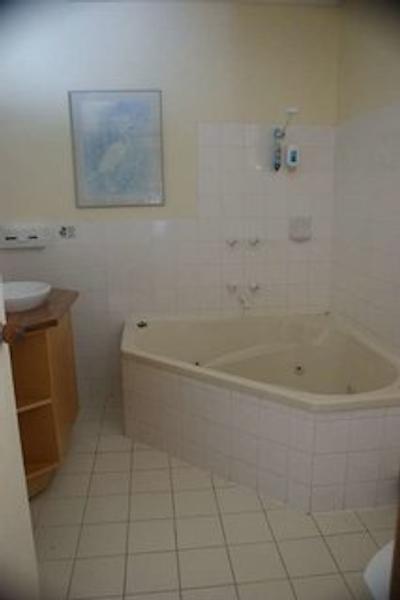 همستید متر این