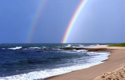 گران نبیل ماکا