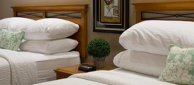 اکسکوتیو ریال هتل لدوک-نیسکو