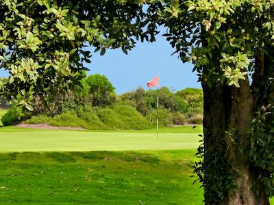 بست وسترن سیتی ساندز