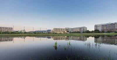 بست وسترن سیتی ساندز