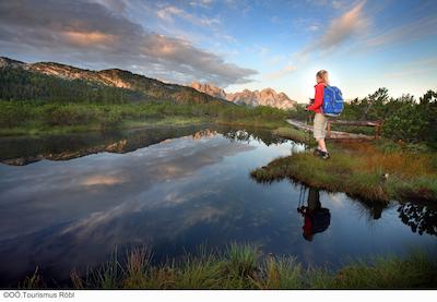 ویتالهتل گوساو