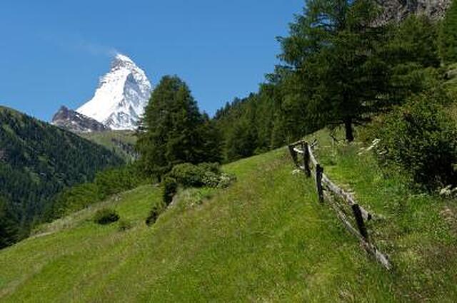 تستا گریجیا