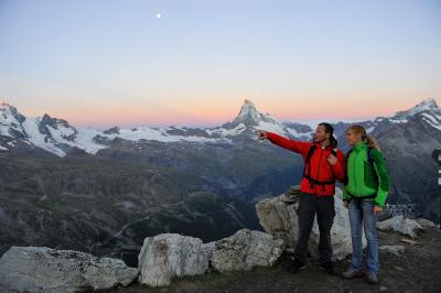 تستا گریجیا