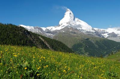 تستا گریجیا