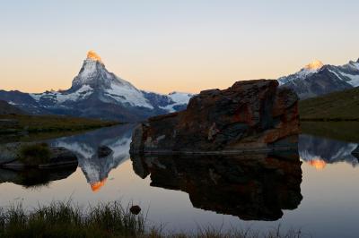 تستا گریجیا