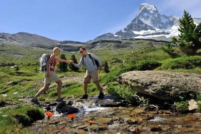 تستا گریجیا