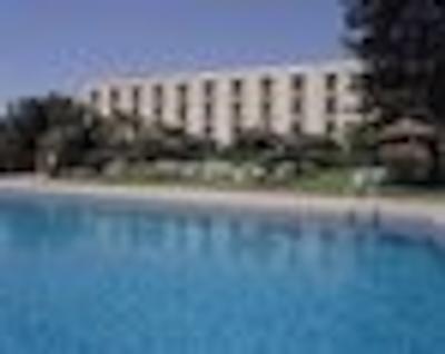 سانگهو اسیفاکس