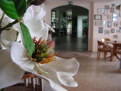 سوهان سی پورت هتل