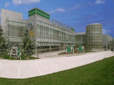 لوجیازوی سنچری