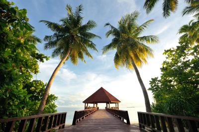 رابینسون کلاب مالدیو