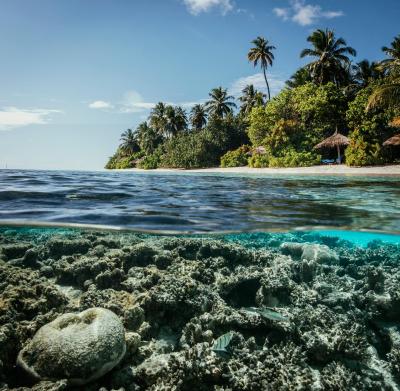 رابینسون کلاب مالدیو