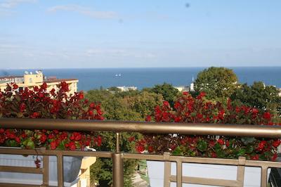 جویا پارک کمپلکس