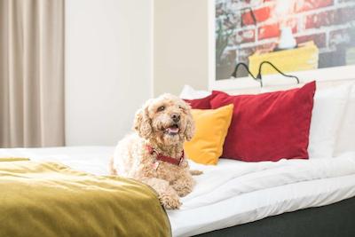 بست وسترن هتل اسواوا وپسالا