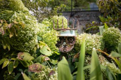 هتل رجنتز گاردن