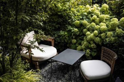 هتل رجنتز گاردن