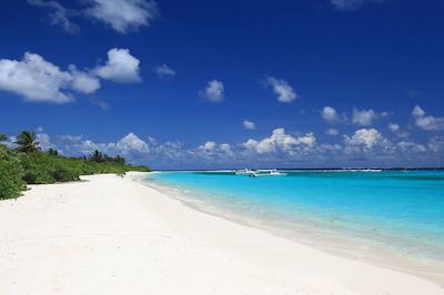 سیکس سنسز لامو