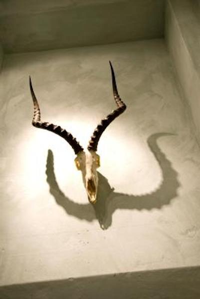 کاپ هریتاج هتل