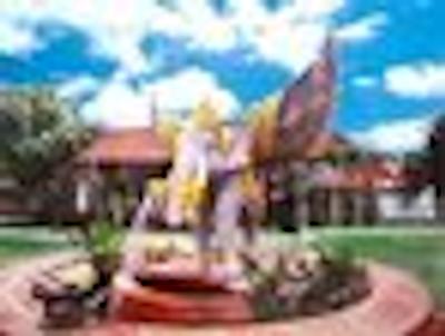 کاریندیپ ویلیج