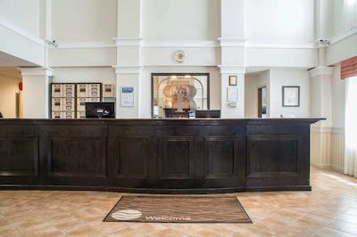 کمفرت این اند سویتز