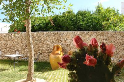 کرت دی نتونو