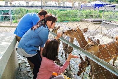 هوارد بیچ ریزرت کنتینگ