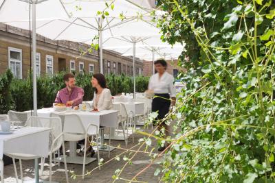 د هارمنی وینا بو پرمیر کالکشن