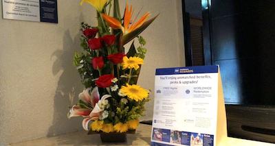 بست وسترن بریسا