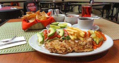 بست وسترن بریسا