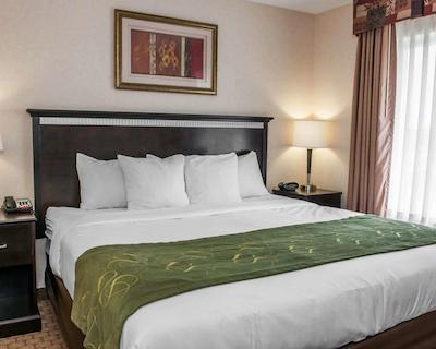 کمفرت سویتز