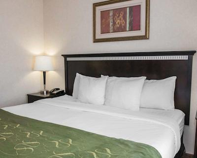 کمفرت سویتز