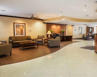 کمفرت سویتز