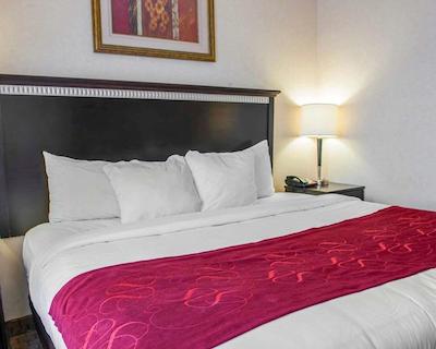 کمفرت سویتز