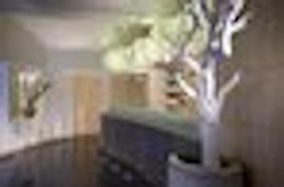 ونتیا پالاس