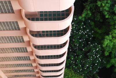 پانتیپ سوئیتز ساتورن بای آسپیرا