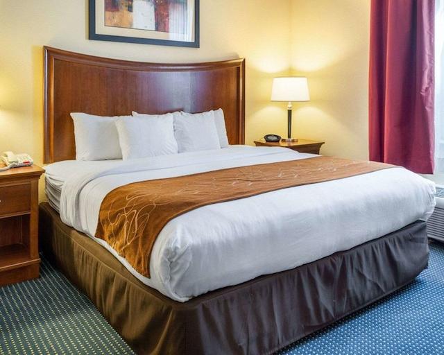 کمفرت سویتز آیرپرت