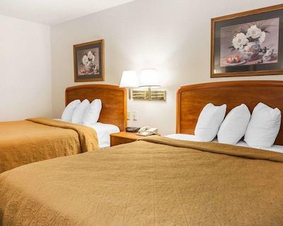 کوالیتی این اسود