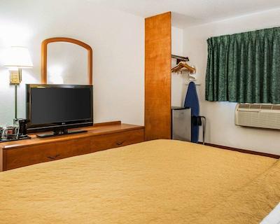 کوالیتی این اسود